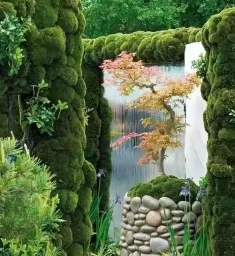 禅意庭院一定要用苔藓吗,禅意苔藓微景观制作视频