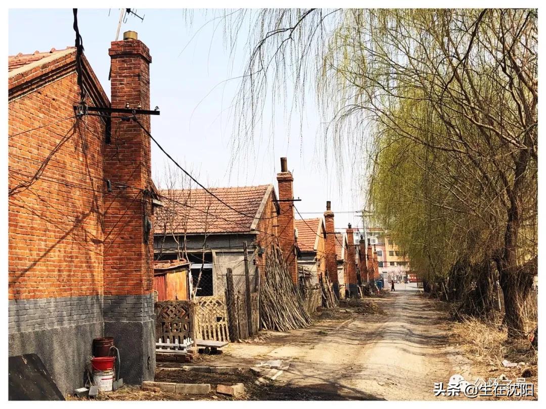 沈阳回忆-沈阳奉天信兴学校