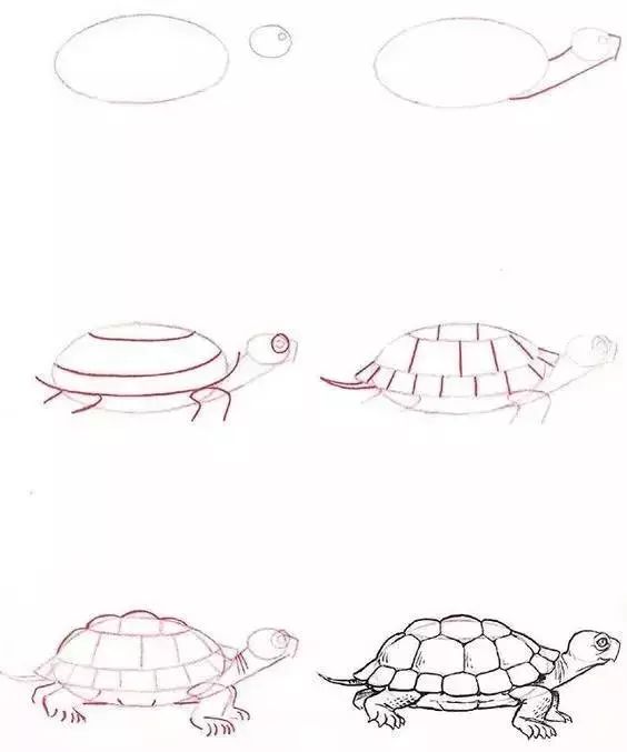 1-10数字动物简笔画图片大全,简笔画小动物100种可爱海底动物