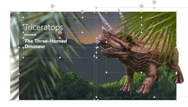 这些好用的网站，你一定要收藏