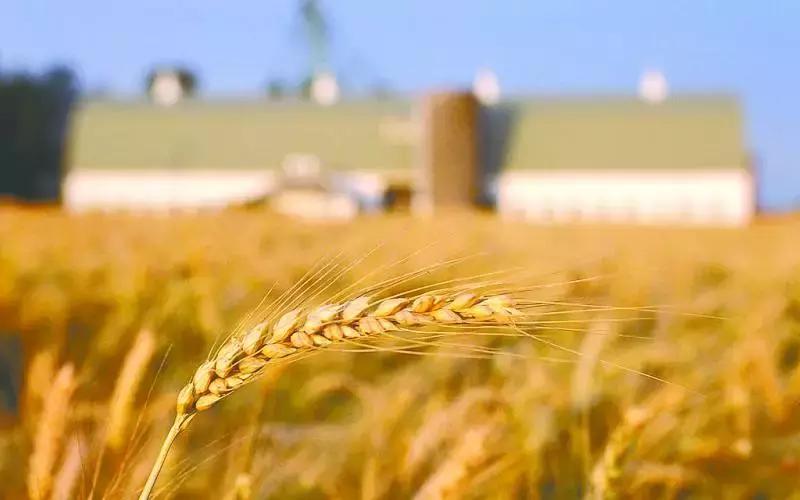 看！农产品华丽蜕变成“网红”