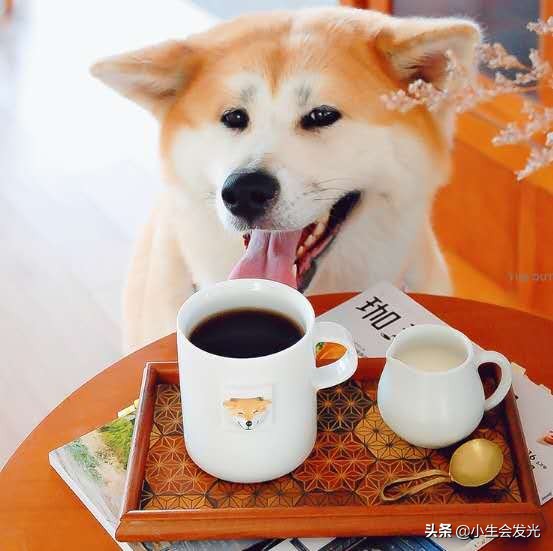 有什么实用的礼物送女朋友,2.14情人节送女朋友什么礼物