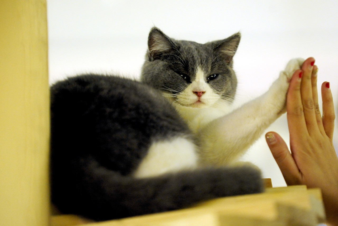 偶然的春天完整版,偶然发现的春天ost