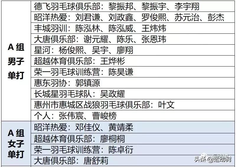 广东惠阳羽毛球单项赛,羽毛球惠阳区比赛