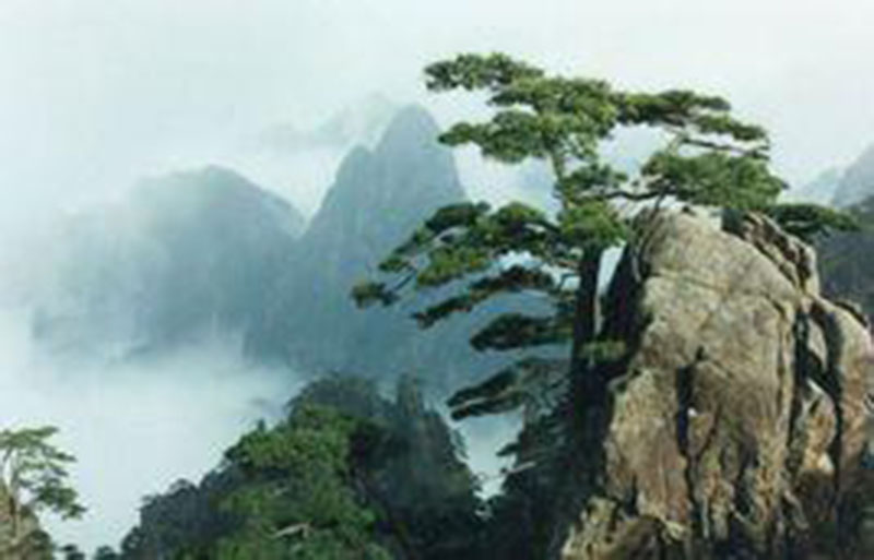 极富哲理的八首经典唐诗赏析合集,唐诗中最有哲理的十首诗