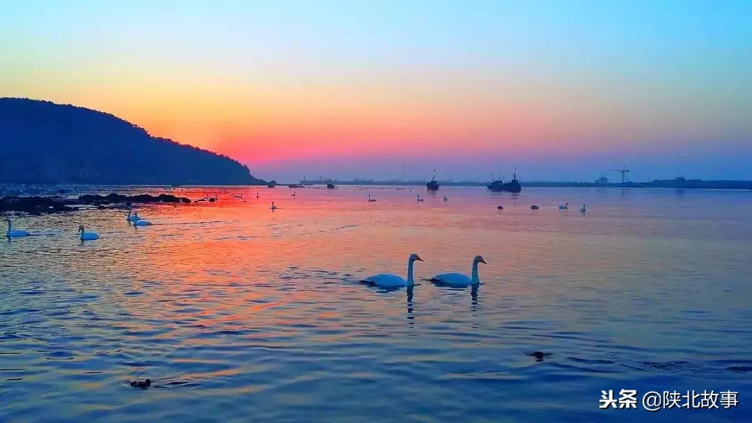 这个最适合冬天来的北方小城，光是海鲜就能让你吃回票价