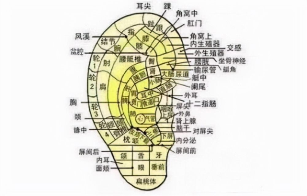 耳朵发出致命的信号,耳朵发出的健康警报你知道多少