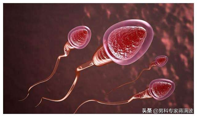 精子走向死亡的4个途径