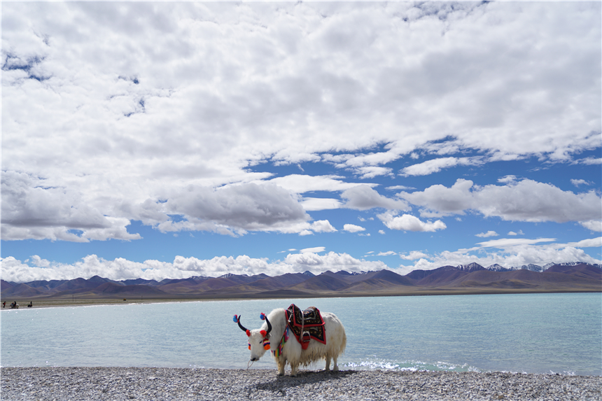 西藏秘境旅游,西藏秘境视频大全