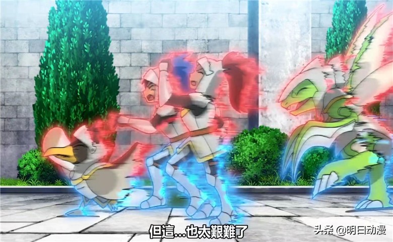 精灵宝可梦小豪参加锦标赛,精灵宝可梦小豪知道泪眼蜥进化了