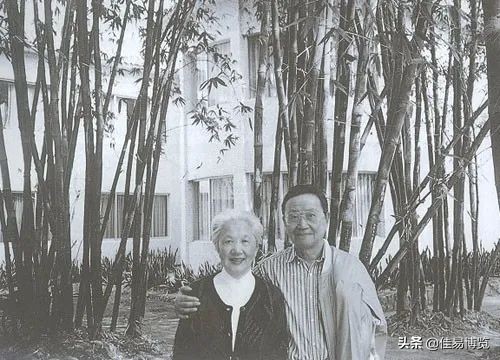 张可风是什么电视剧,张可风的作品