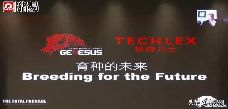 猪业发展趋势图,猪行业发展视频