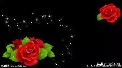 520祝福语表达爱意句句温馨美好,520祝福语送给最在乎的人