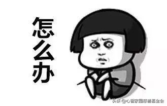 帮助别人我也很快乐名言,帮助他人快乐自己