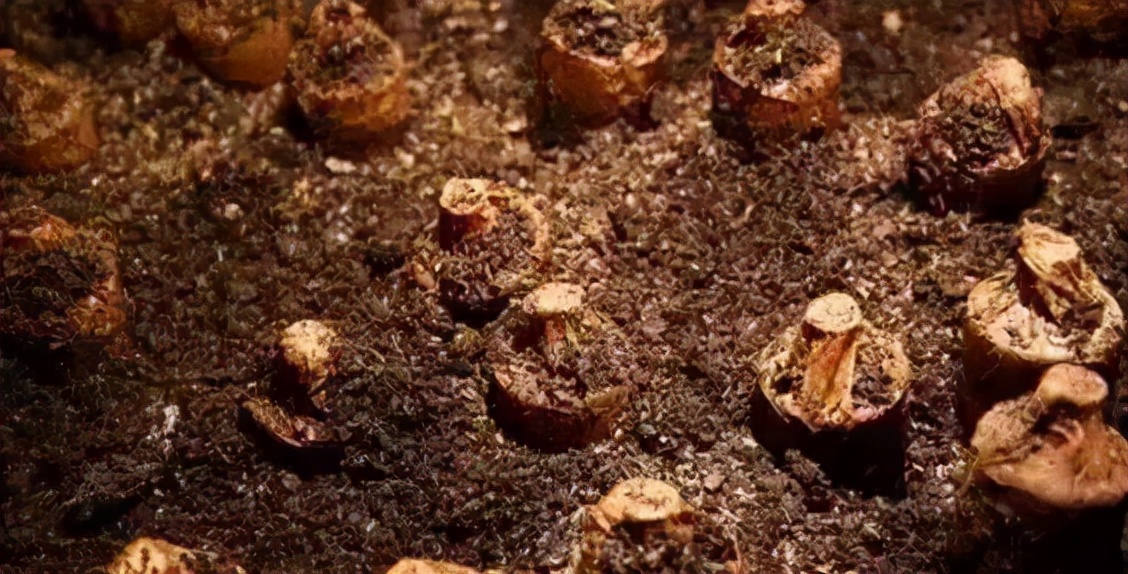 (酱酒观察四)“窜酒”和不良电商正在为害茅台镇