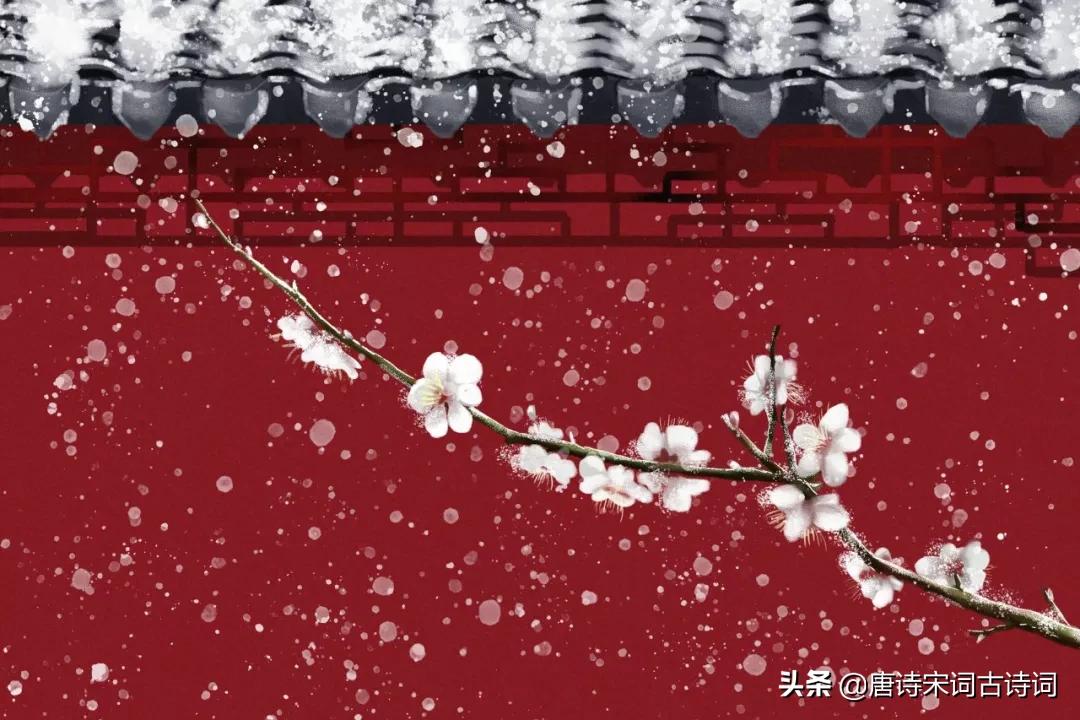 历代文人墨客笔下的梅花,文人墨客笔下的梅花