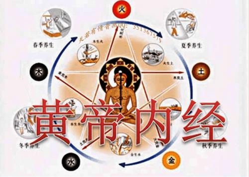 关于脾胃的知识和穴位,脾胃的中医理论知识