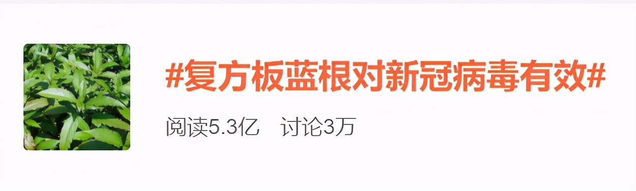 板蓝根2024年以后的前景如何,板蓝根将迎来转折点
