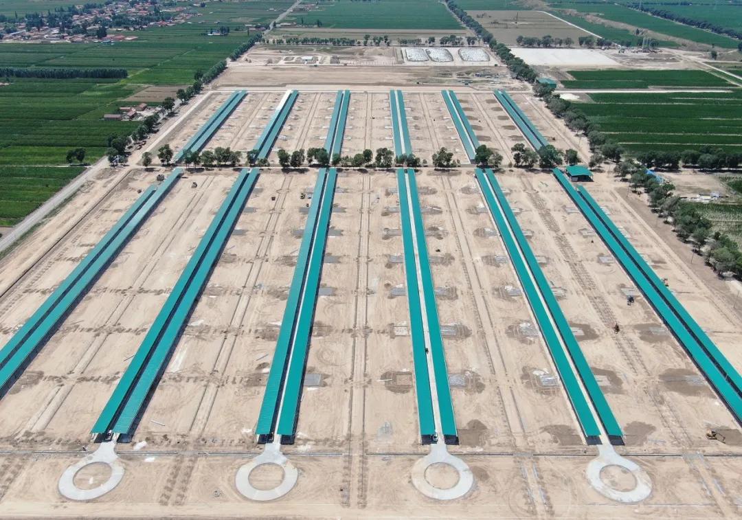 福建民营企业前100强营收排名,福建融侨集团销售额