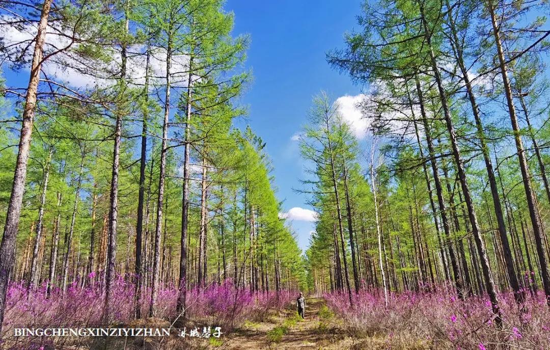 寻找中国最美的春季,探寻中国最美秘境