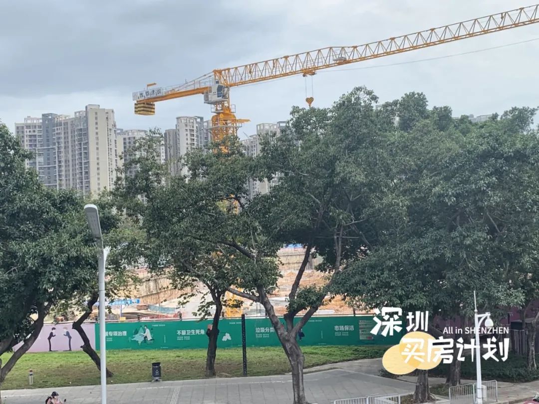 深圳目前值得打新的楼盘,深圳12月打新火爆新盘