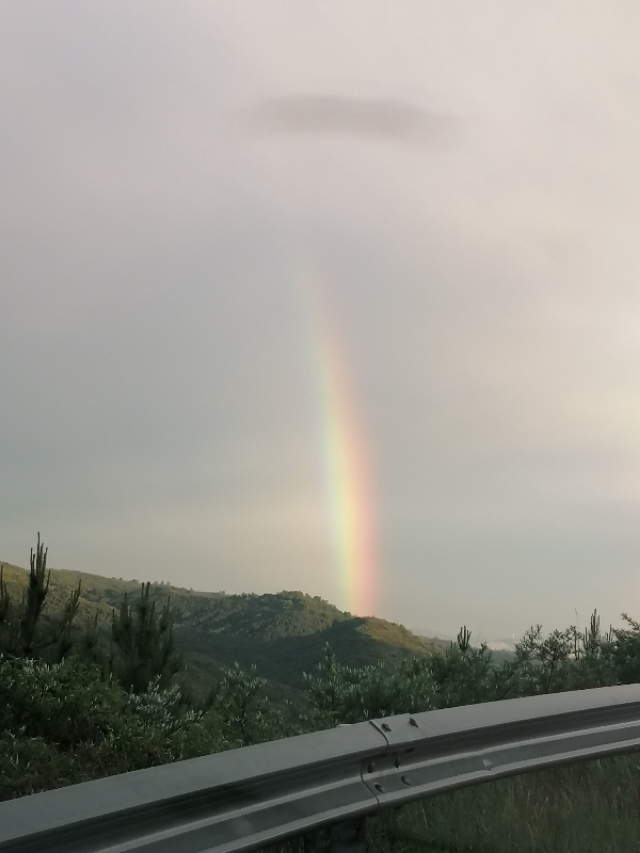 遇到大风天气钓鱼怎么办,海上钓鱼遇上雷雨天气怎么避让