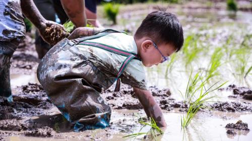 广州周末带娃好去处免费,广州遛娃的地方免费景点