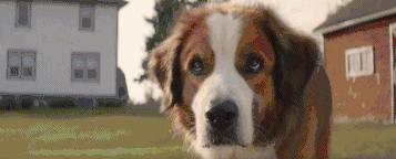 拯救不开心之类电影推荐,十部让人内心平静的电影