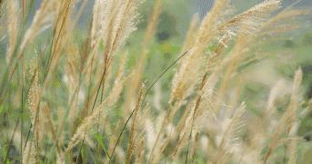 空气循环风扇如何有效循环空气,最好的室内空气循环风扇