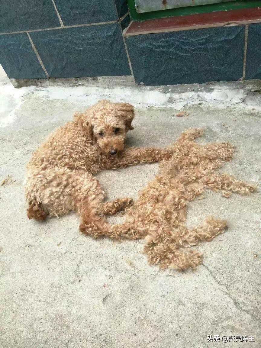 人生得意须尽欢，生不剁手枉少年，年度无限回购好物总结