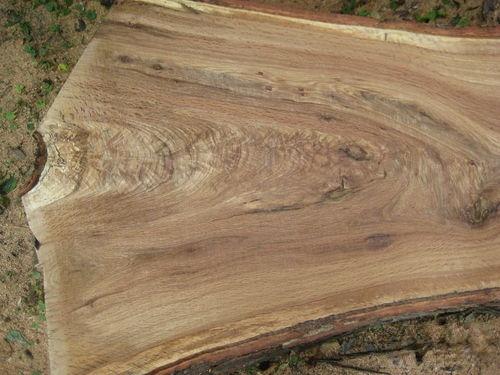 你不知道的美国产品,白橡木皮一般是直纹还是山纹