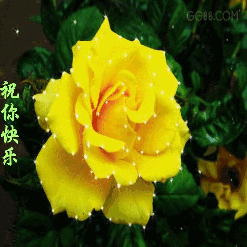 我把幸福送给你,11月快乐我把祝福送给你高清图片