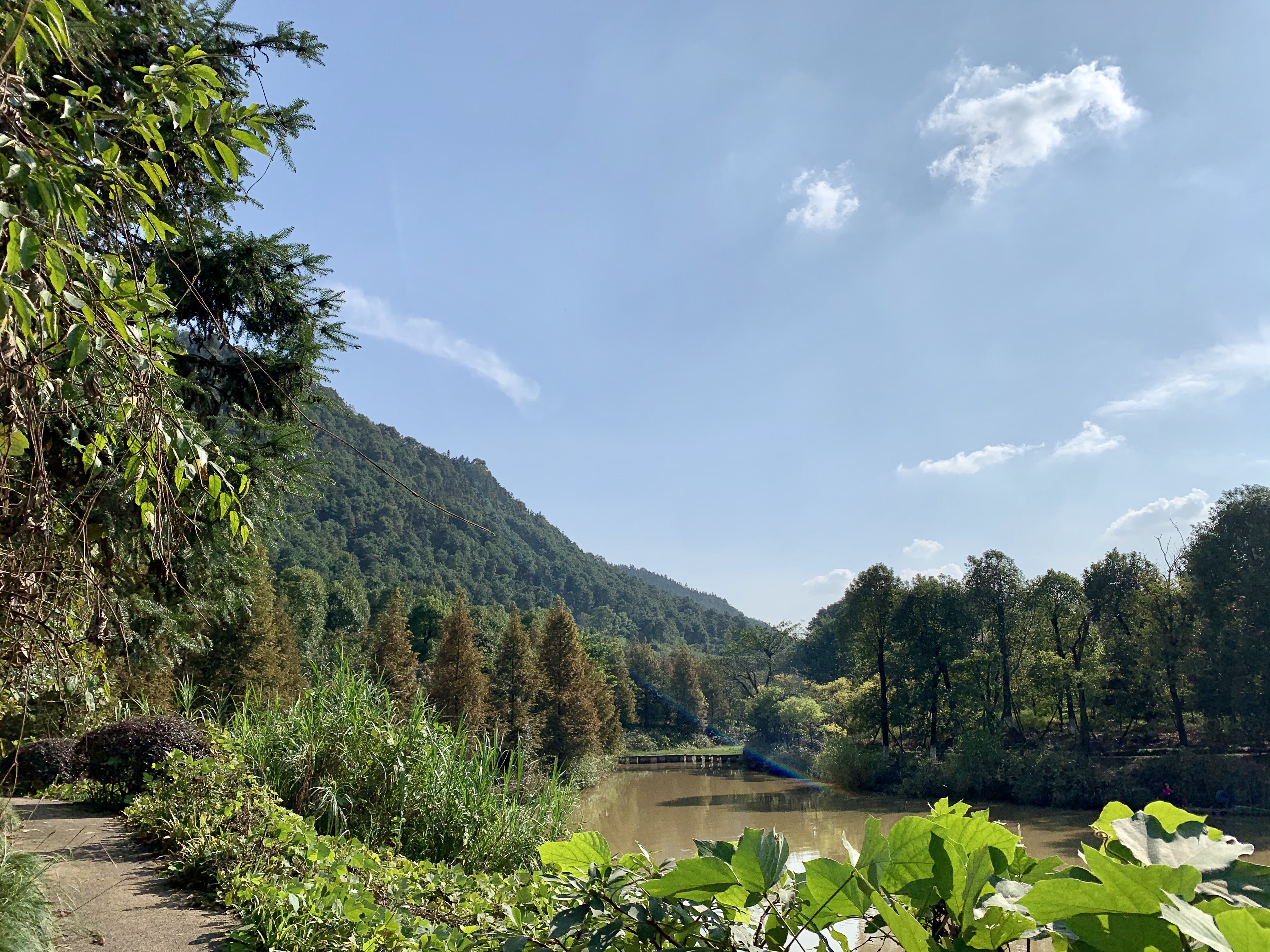 重庆有特色的山中民宿,重庆十大山景民宿排名