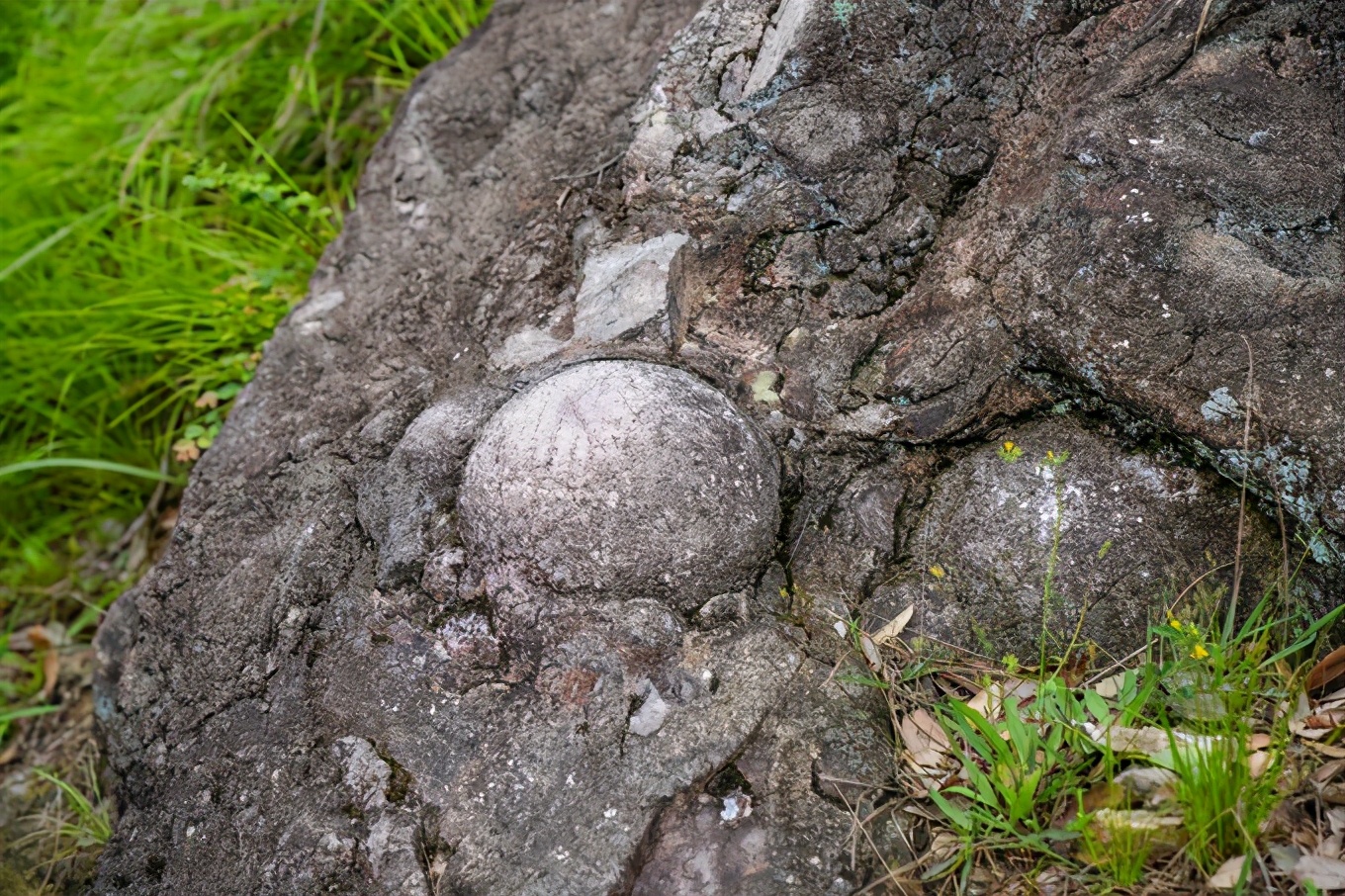 雁荡山旅游攻略三日游价格,雁荡山一日游最佳攻略