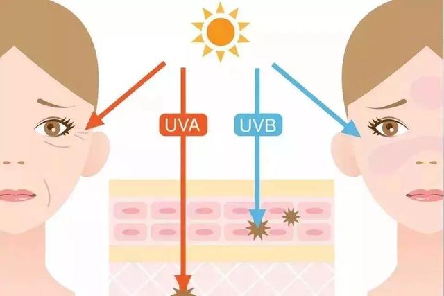 gm墨镜myma和frida哪个更适合男士,gmheronpreston墨镜联名新款