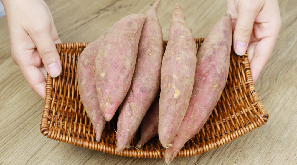 保存大量红薯种的方法,保存红薯正确的方法不发霉不变质