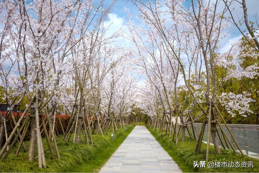 崇明三湘森林海尚联排户型,崇明三湘森林