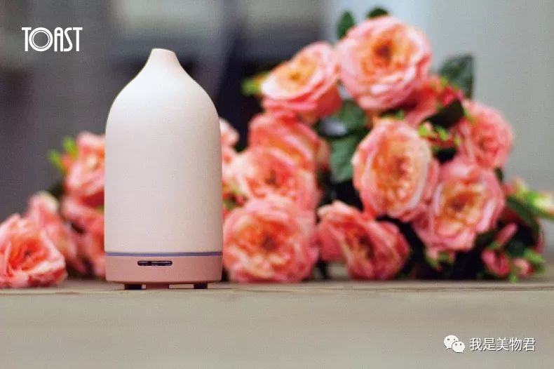 10款办公室必备好物了解一下,元气满满的屋里好物推荐