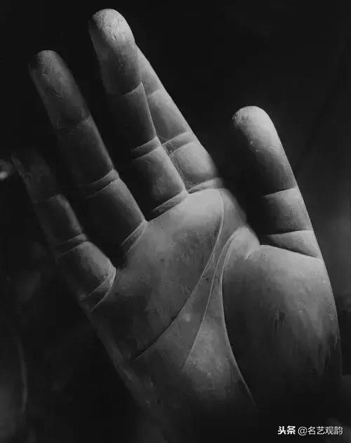 欣赏世间之美,欣赏之美