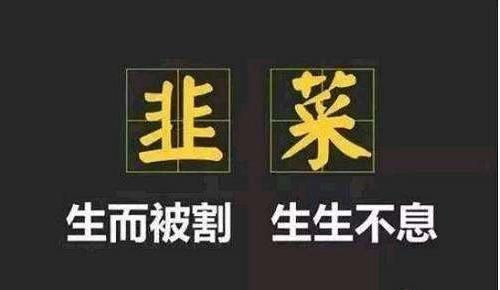 网红李子柒概念股,李子柒概念股最新消息