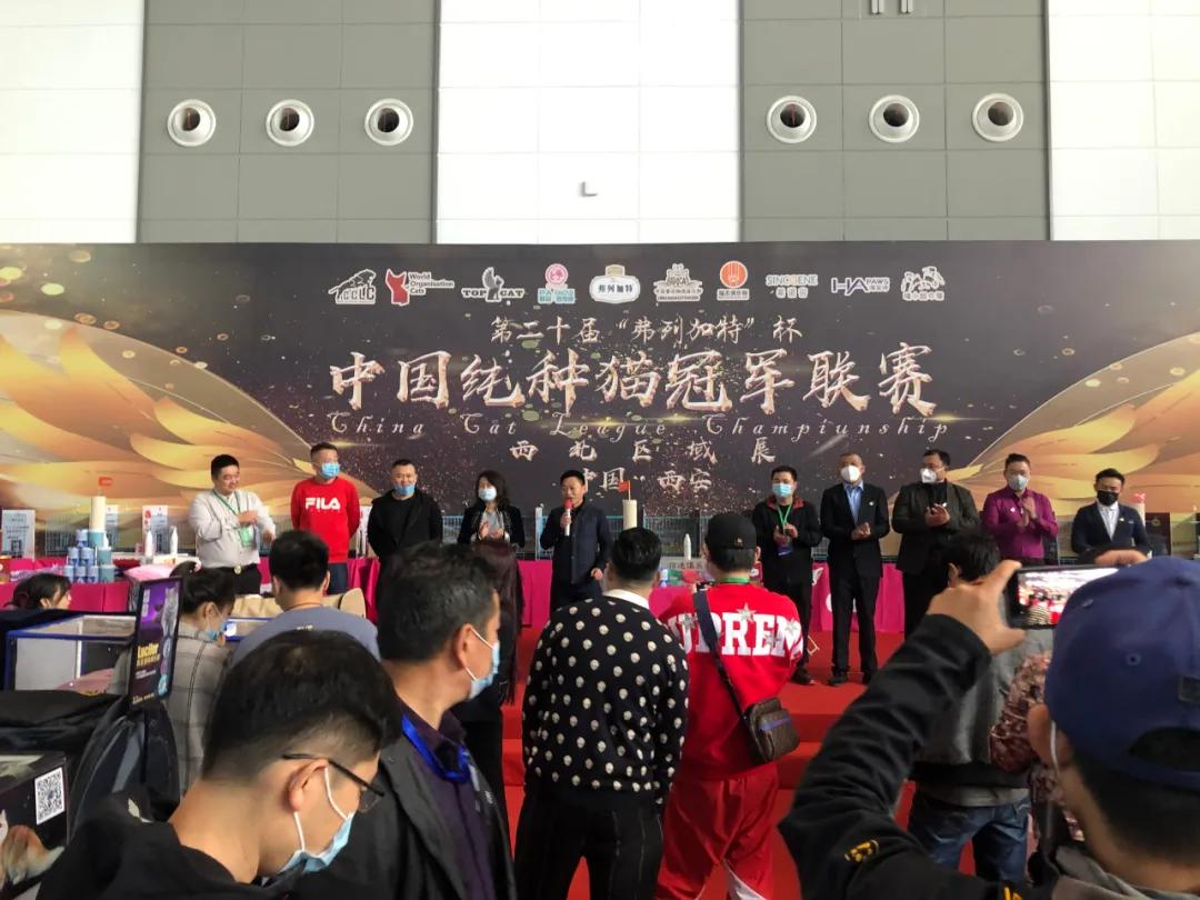 西北宠物行业的剁手盛宴来喽