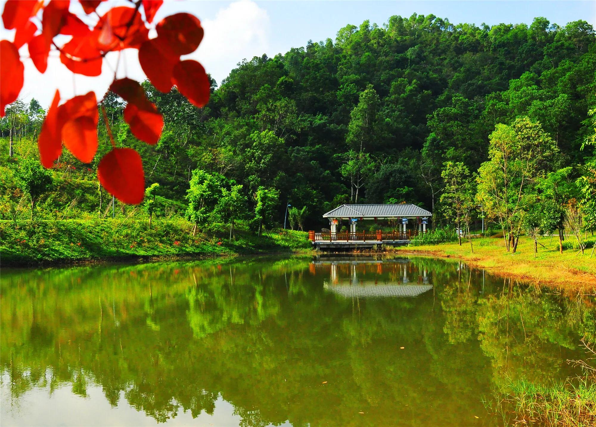 深圳市十大免费公园,深圳十大湖泊