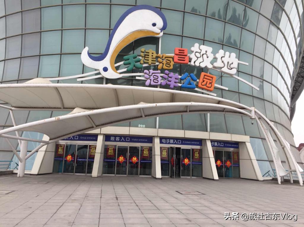 成都海昌极地海洋馆动物表演时间,武汉海昌极地海洋世界动物