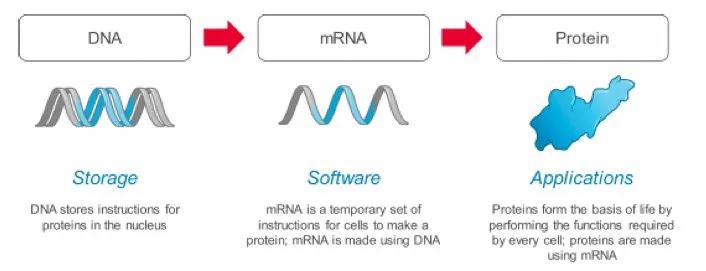 moderna新冠疫苗欧盟,moderna新冠疫苗研发重大进展