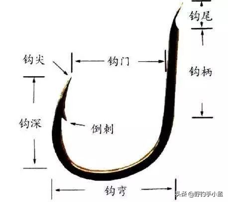 新手用无刺钩还是用有刺钩,新手用无刺钩