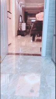 搞笑动图笑得肚子痛,搞笑动图gif图片合集