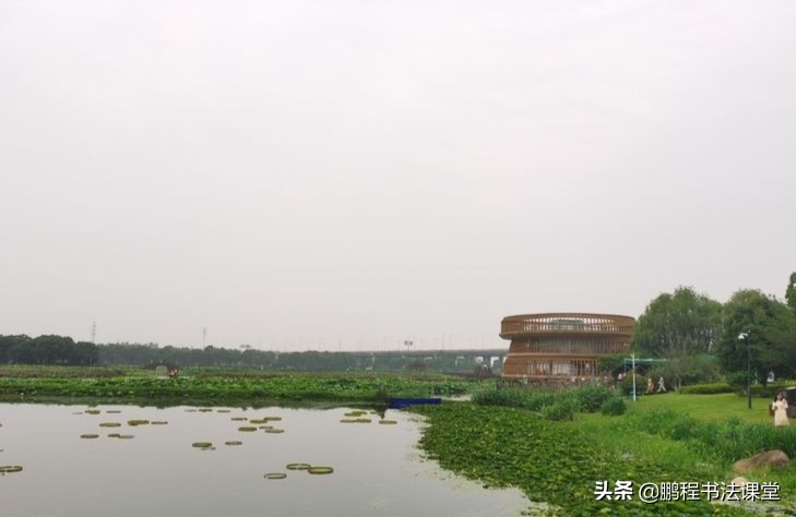 莲池湖公园赏荷花攻略,荷塘月色湿地公园最佳赏荷时间