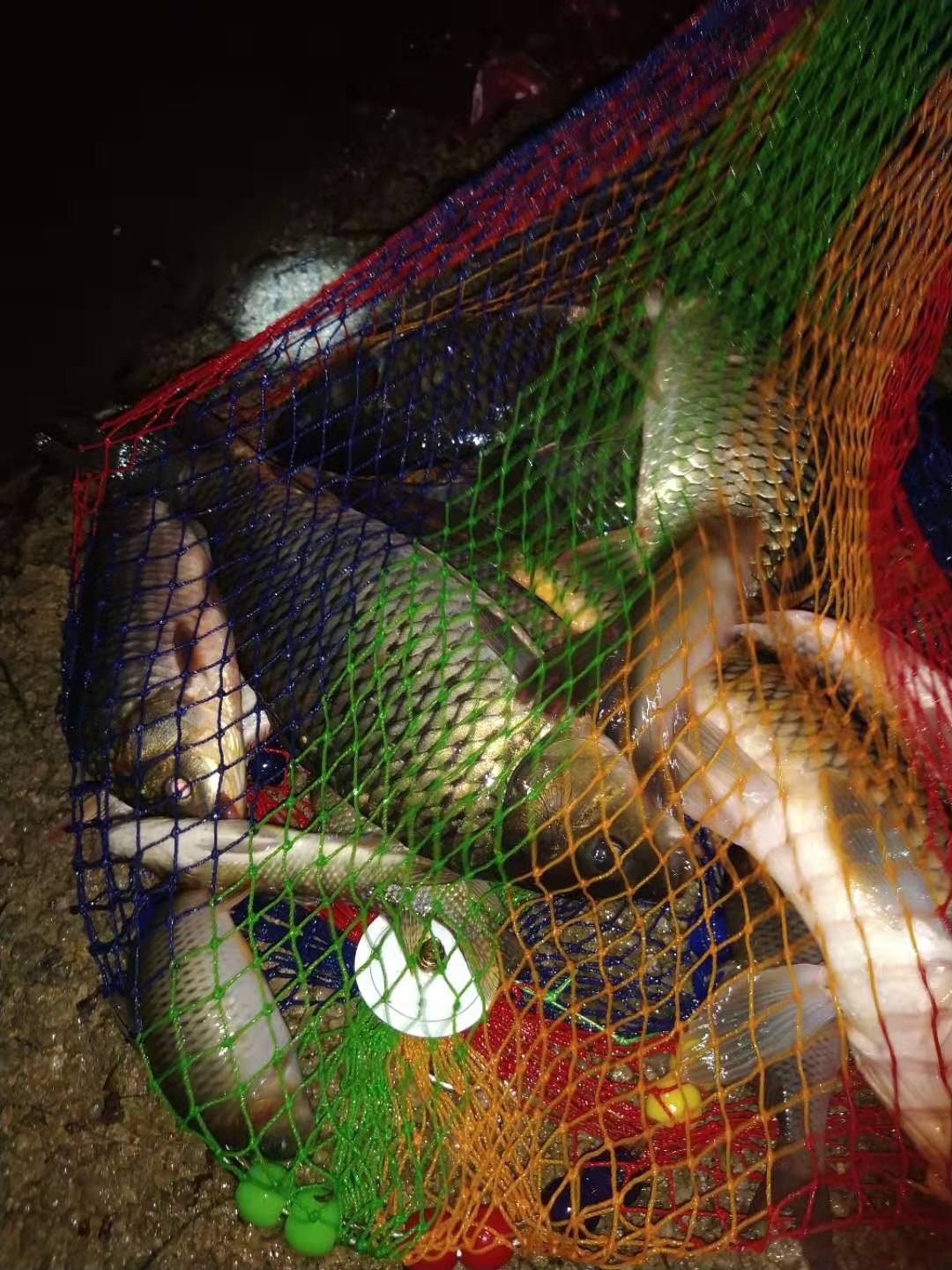 钓鱼技巧野外夜钓的三个选位技巧,钓鱼技巧如何钓黑坑鱼儿