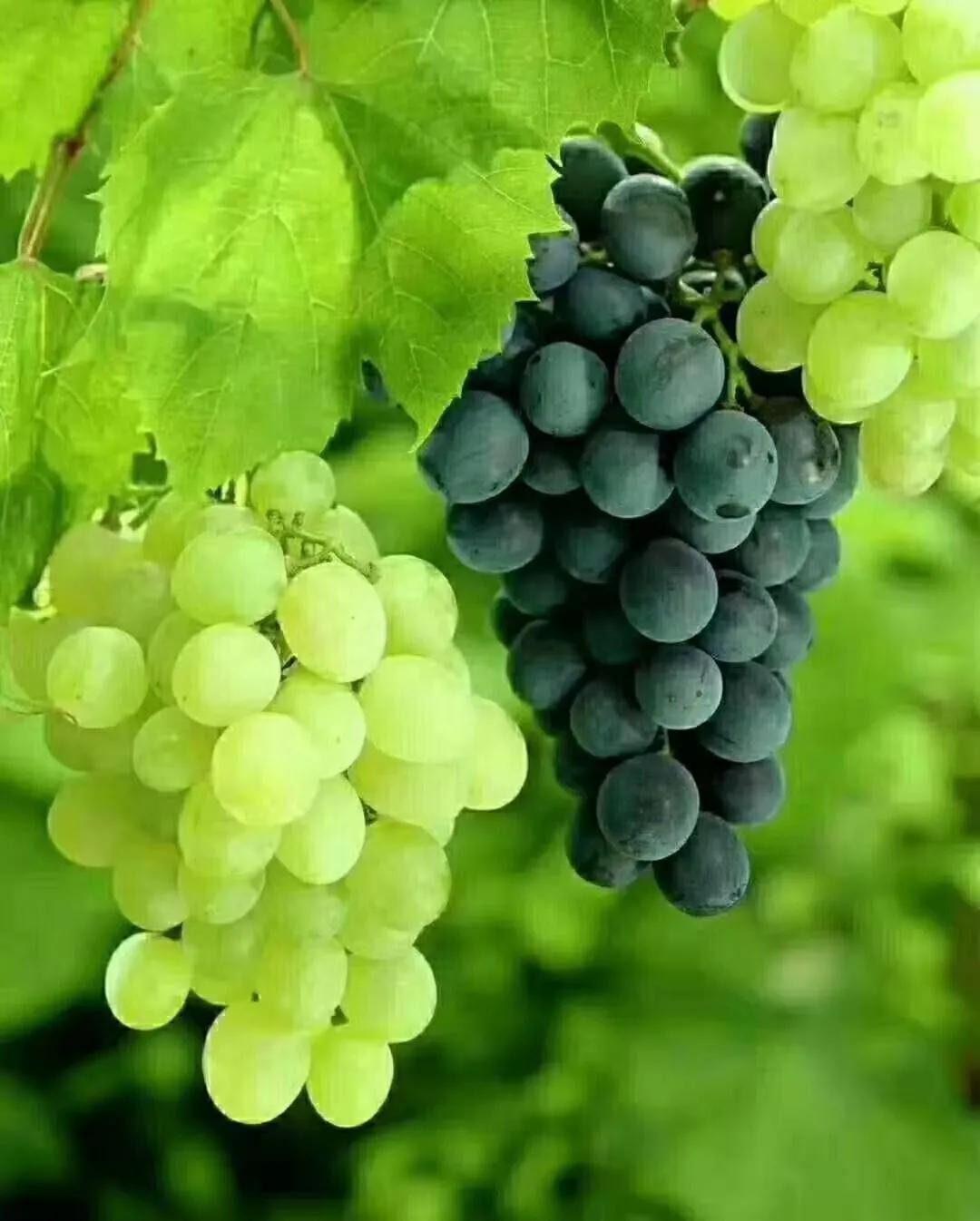 诚信经营生意年年旺,诚信经营生意朋友圈说说