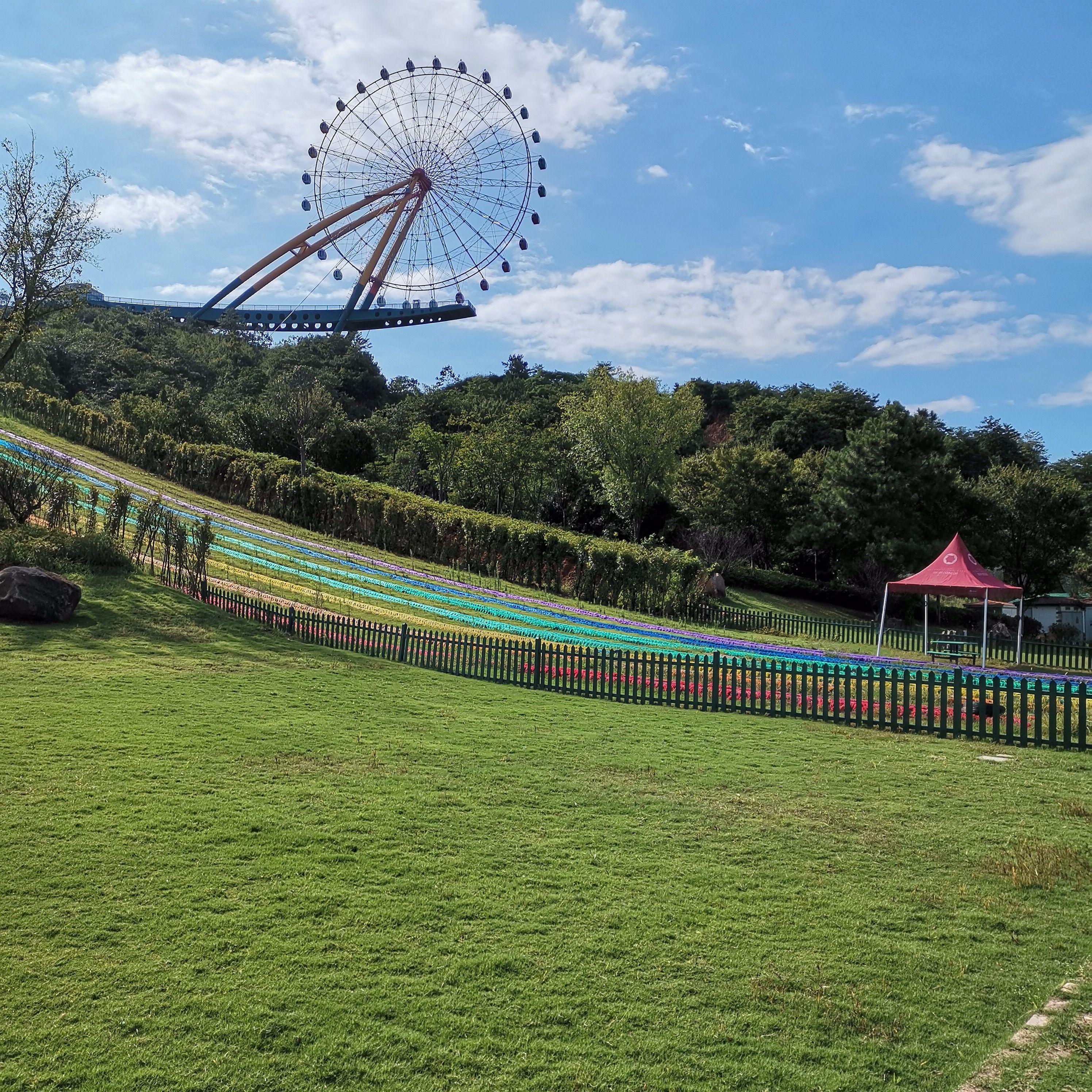 荣耀9x四个月评测,荣耀9x和荣耀x10现在还能用吗